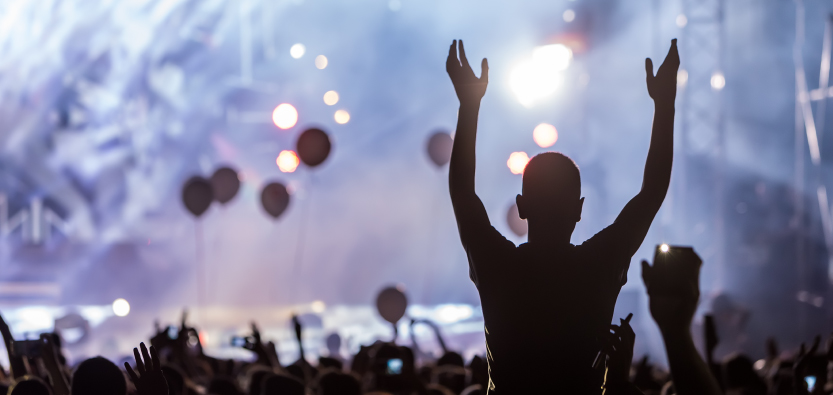 Silhouette of crowd at live music concert.