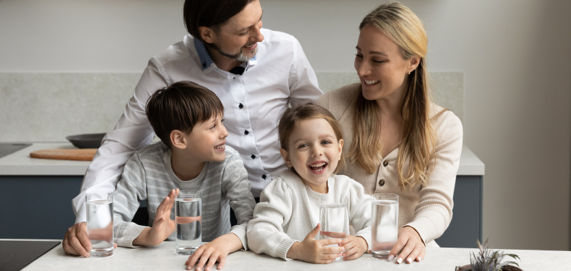 strauss 2401 article1 inner1